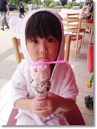 暑気払いのアイスクリーム(^^;v