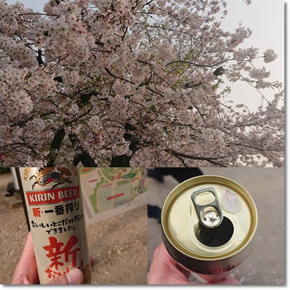 桜眺めながらビール(^^;